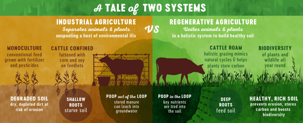 Regenerative Agriculture – Immense Dynamics